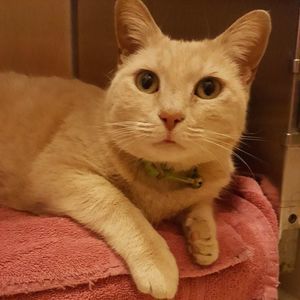 Meet your Posher, Louise